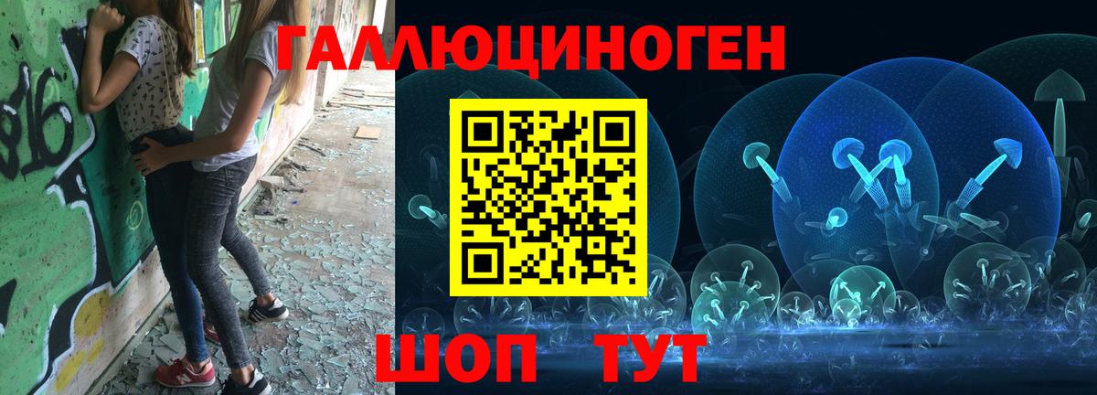 Галлюциногенные грибы Psilocybe  Вход с VPN  Кисловодск 
